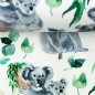 Preview: Jersey | Nora | Koala | Eukalyptus weiß